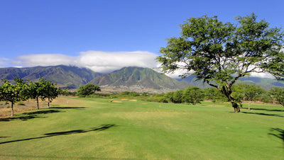 Dunes at Maui Lani