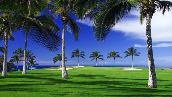 Waikoloa Beach / Lakes