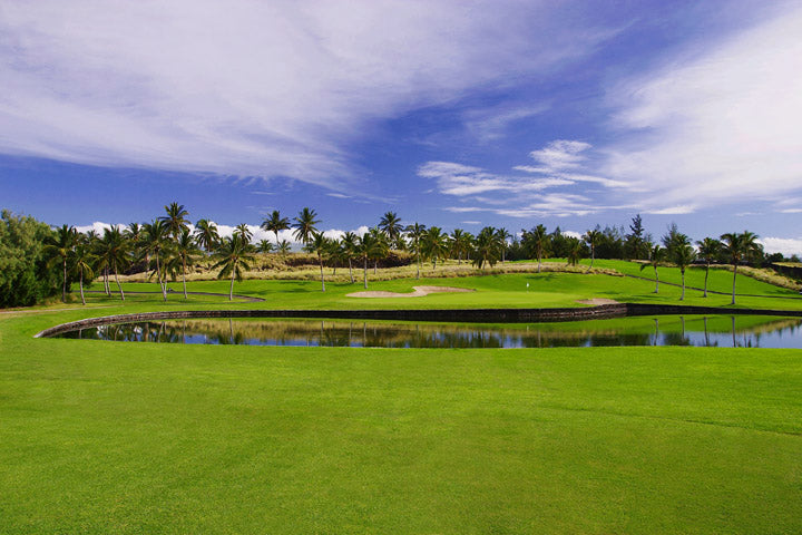 Waikoloa Beach3