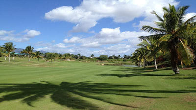 Coral Creek Oahu 