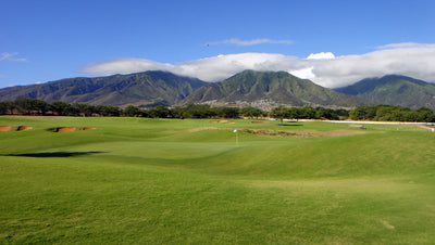 Dunes at Maui Lani 4