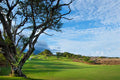 dune at maui lani