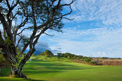 dune at maui lani