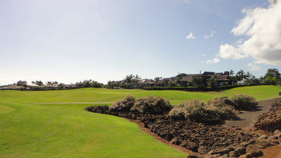 Kiahuna Golf Club 3