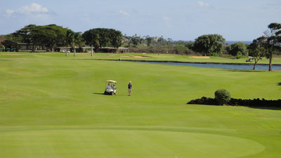 Kiahuna Golf Club 2