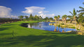Waikoloa Kings 2