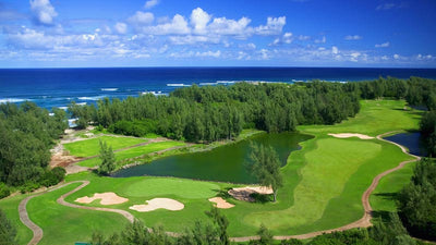 Turtle Bay Resort Palmer 3