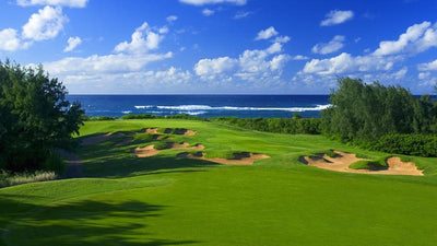 Turtle Bay Resort Palmer 5