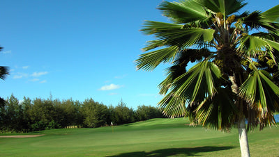 Hawaii Prince Golf Club 5