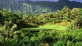 Royal Hawaiian Golf Club 3